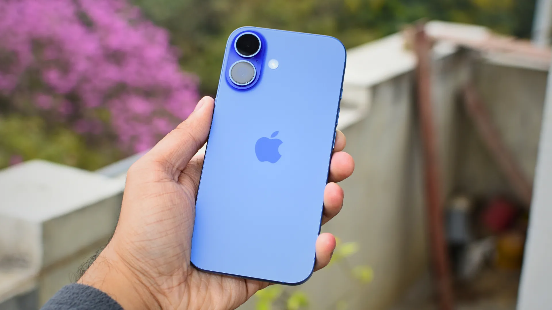 Hình ảnh iPhone 16 màu Ultramarine với một vài cây xanh làm nền, minh họa cho các sản phẩm Apple có thể ra mắt trong tương lai