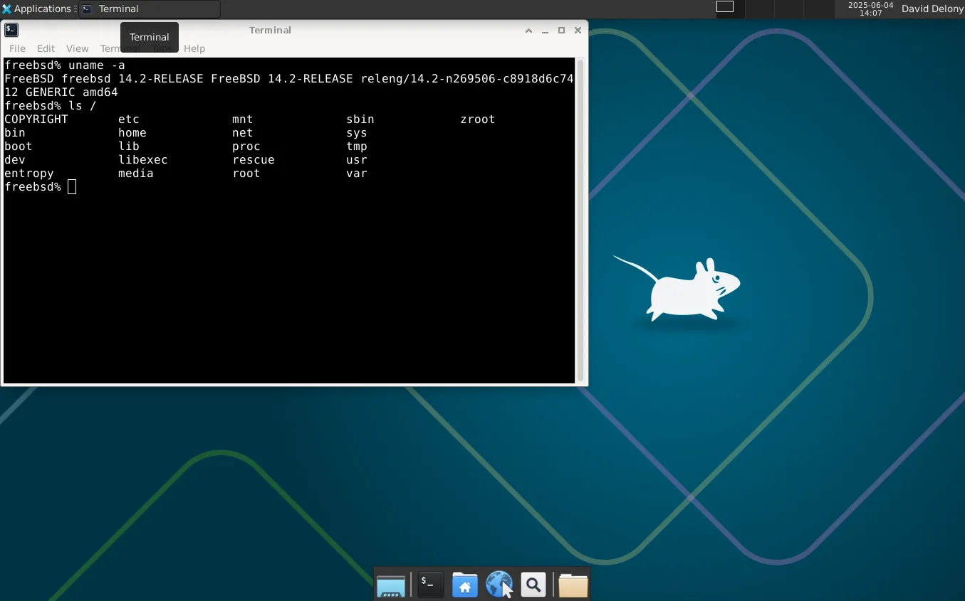 Máy tính để bàn FreeBSD Xfce với cửa sổ terminal đang mở.