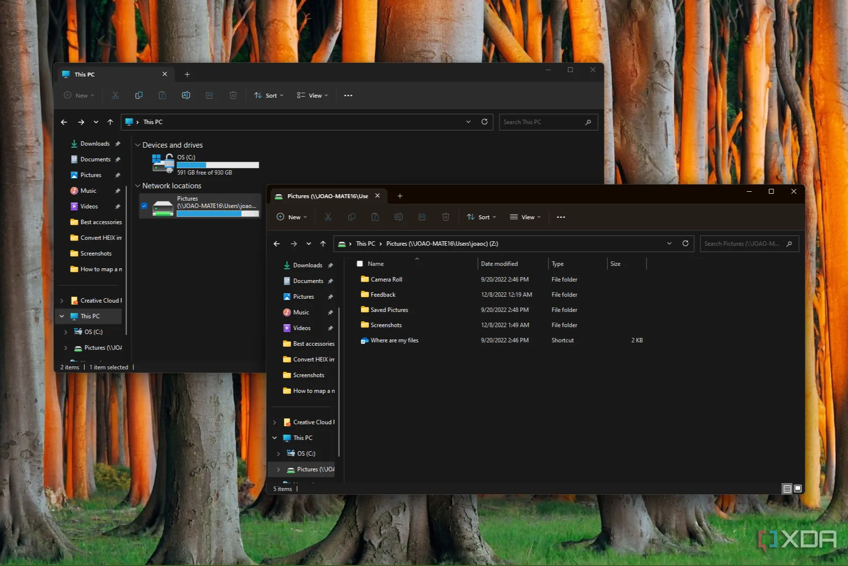 Hướng dẫn ánh xạ ổ đĩa mạng trên Windows 11 sử dụng File Explorer