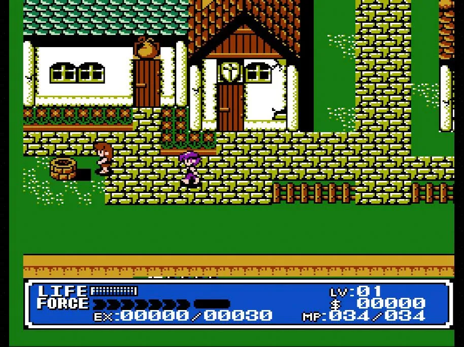 Cảnh gameplay game nhập vai hành động Crystalis trên NES trong bối cảnh hậu tận thế