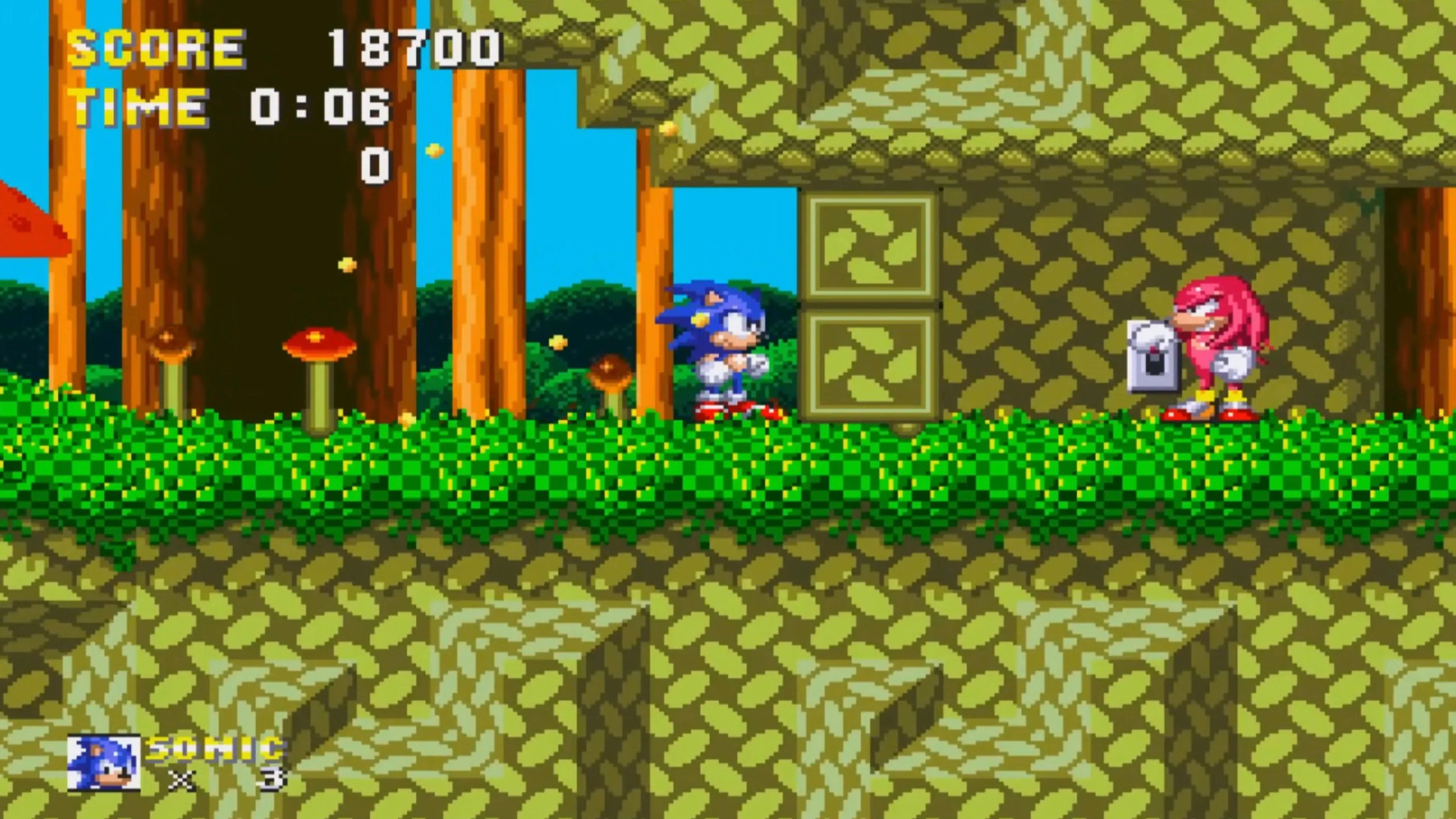 Cảnh Sonic và Knuckles cùng chạy trên màn hình, thể hiện lối chơi platformer tốc độ cao và khả năng chơi hợp nhất độc đáo