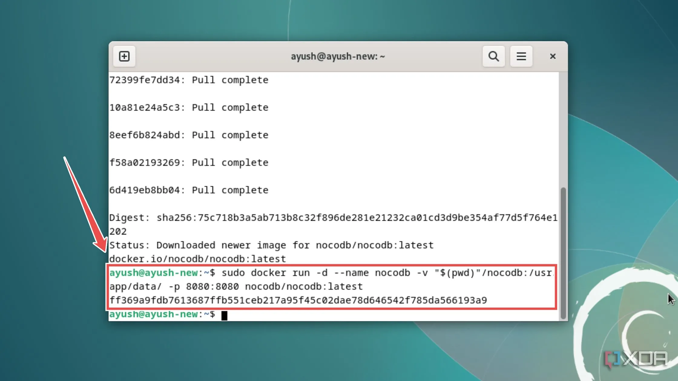 Chạy container NocoDB trên Docker với các tham số cấu hình cần thiết