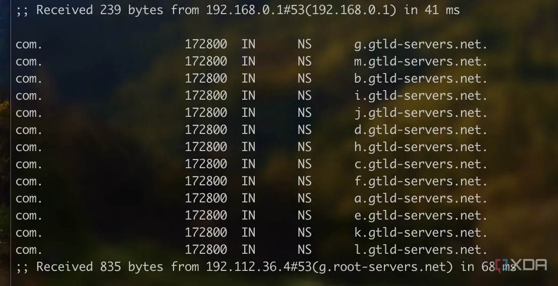 Giao diện cấu hình DNS hoặc mạng hiển thị lựa chọn TLD (Top-Level Domain)