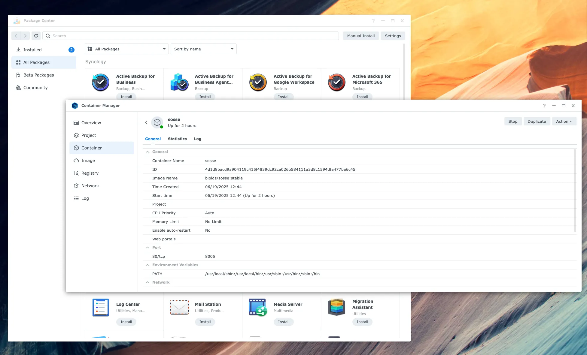 Giao diện chính của Sosse đang chạy trên một thiết bị Synology NAS, hiển thị trường nhập URL để lưu trữ trang web