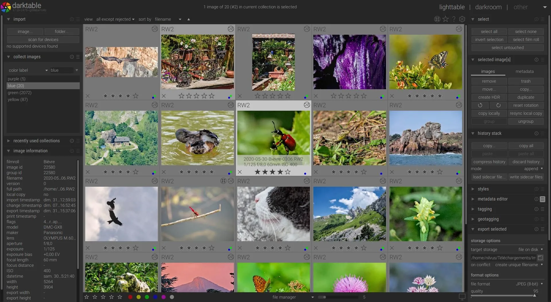 Giao diện Darktable với các công cụ chỉnh sửa và tổ chức ảnh RAW