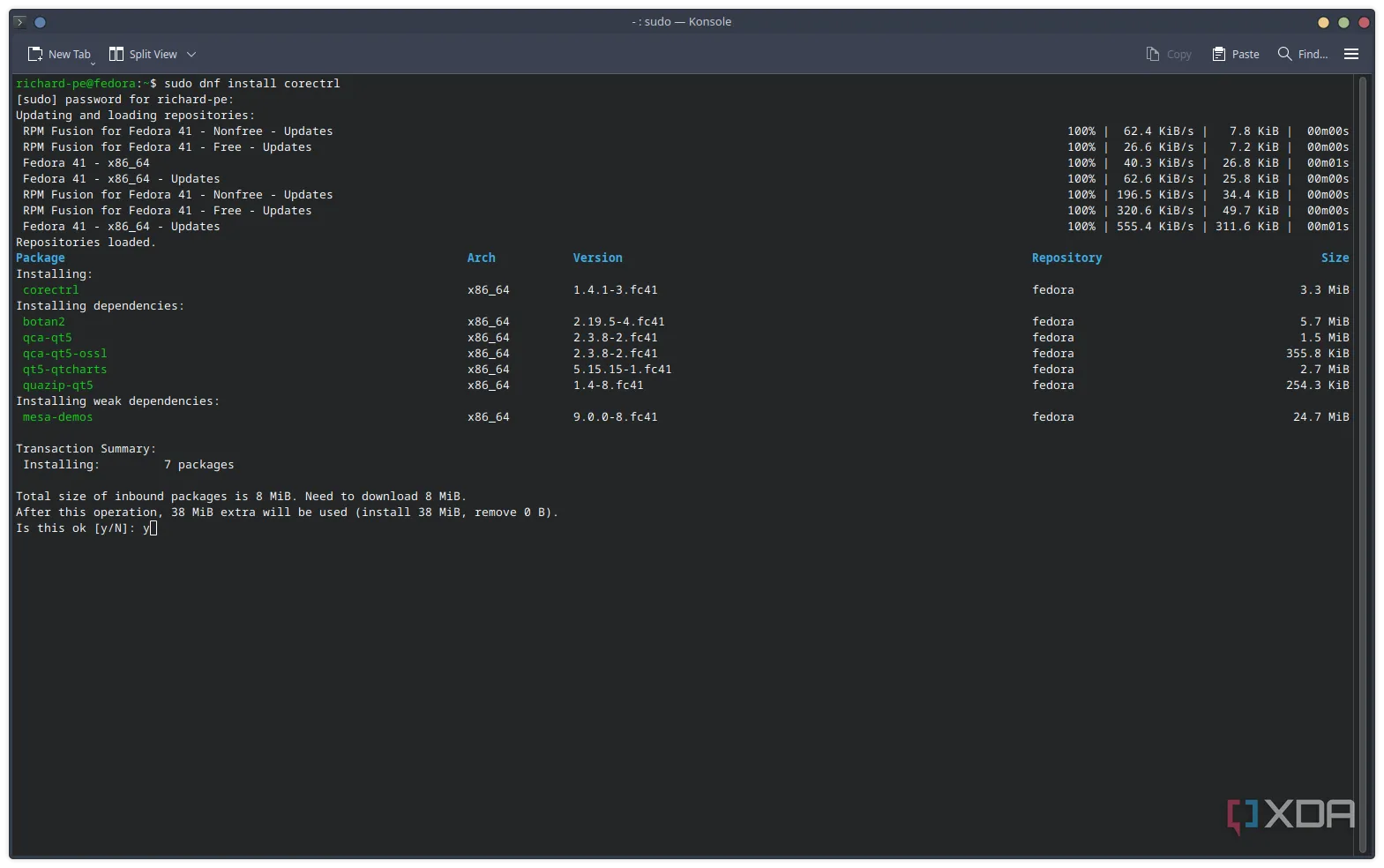 Giao diện quá trình cài đặt ứng dụng Mumble Client trên hệ điều hành Fedora Linux