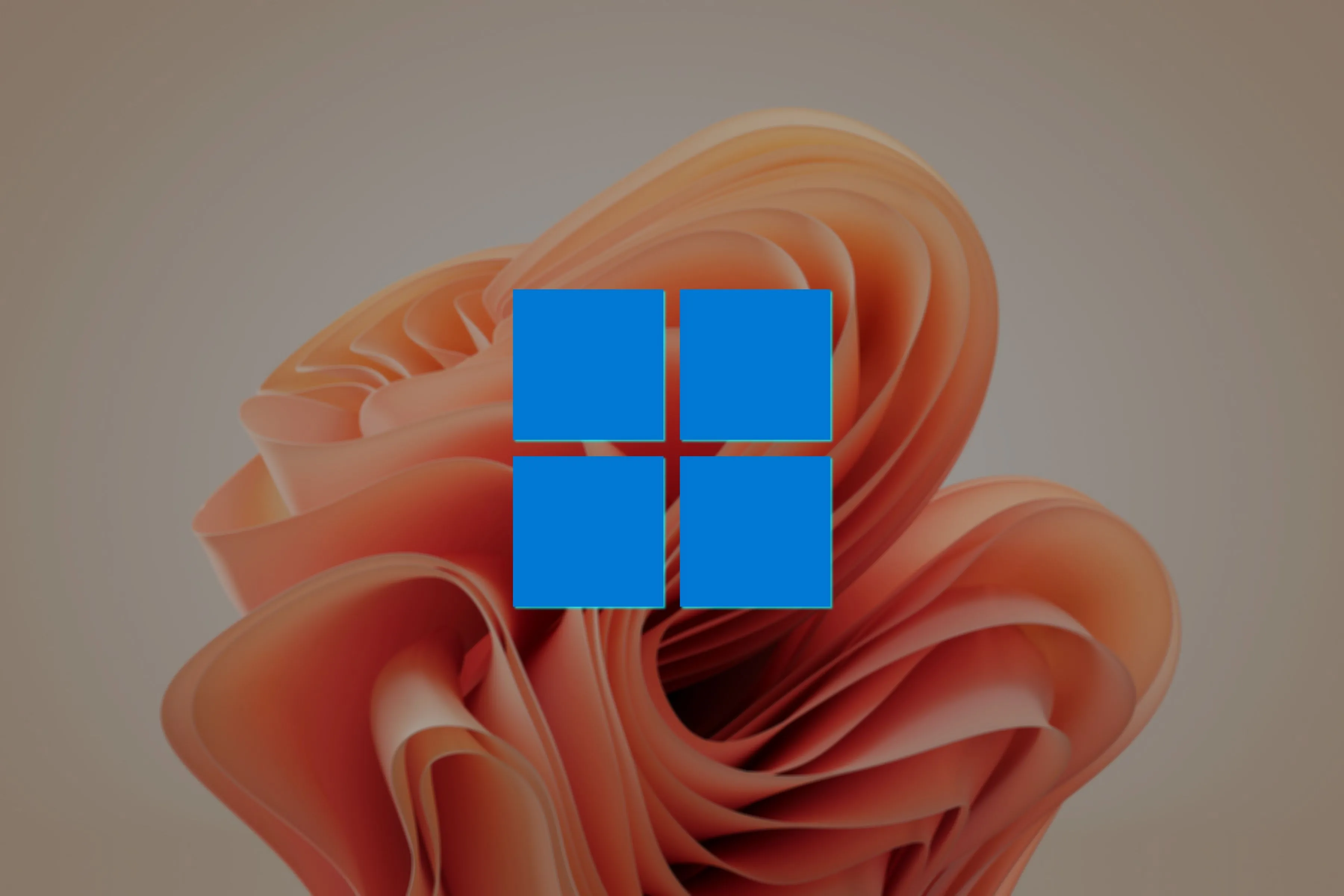 Logo Windows 11 trên hình nền Bloom Wallpaper màu cát