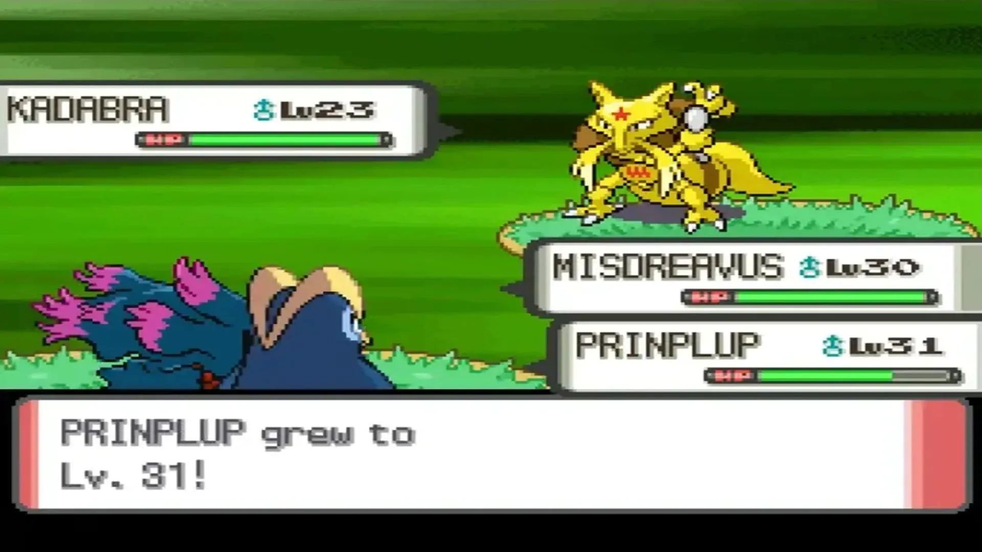 Màn hình game Pokémon Pearl, hiển thị cảnh chiến đấu đôi giữa các Pokémon trên nền phong cảnh Sinnoh