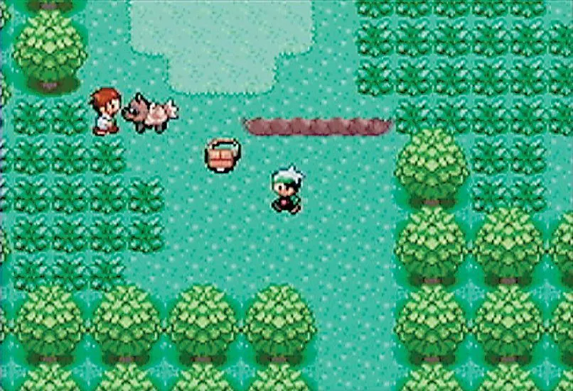 Một cảnh chiến đấu đặc sắc trong ROM hack Pokémon R.O.W.E, với các Pokémon từ thế hệ mới.
