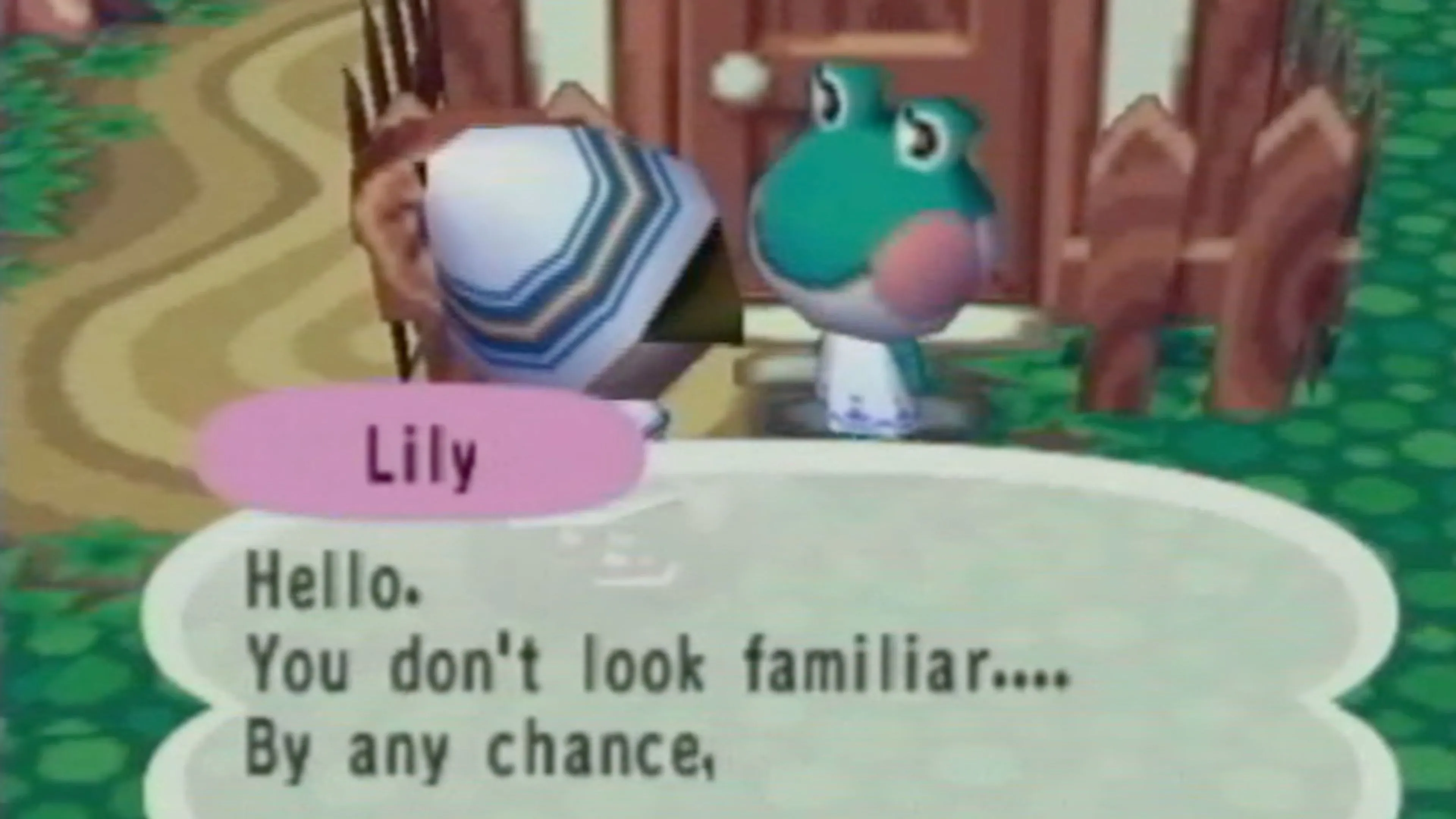 Nhân vật của người chơi trò chuyện với cư dân ếch Lily trong Animal Crossing.