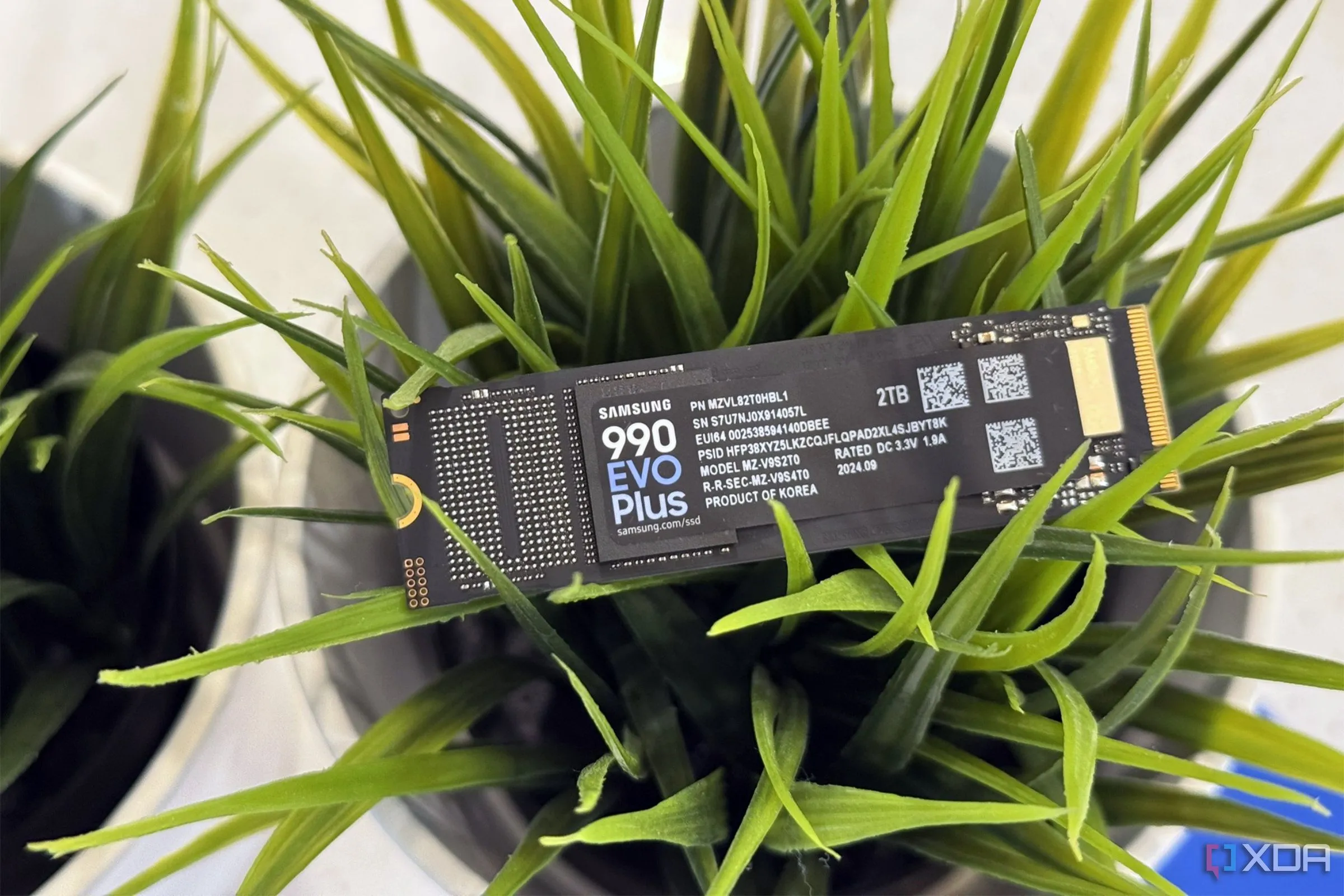 Ổ cứng SSD Samsung 990 Evo Plus đặt trên cây cảnh