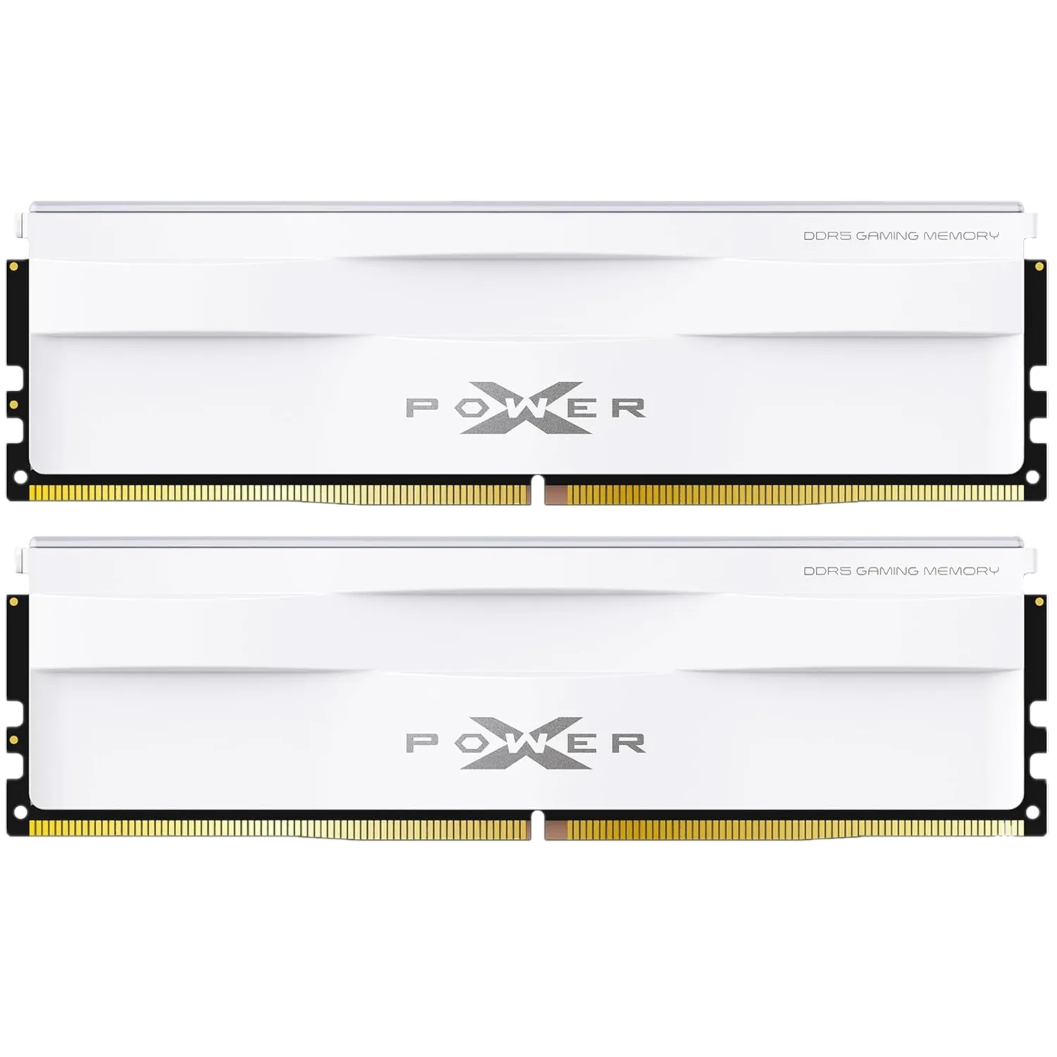Render trong suốt của hai mô-đun RAM DDR5 màu trắng, thể hiện thiết kế tinh tế và hiện đại