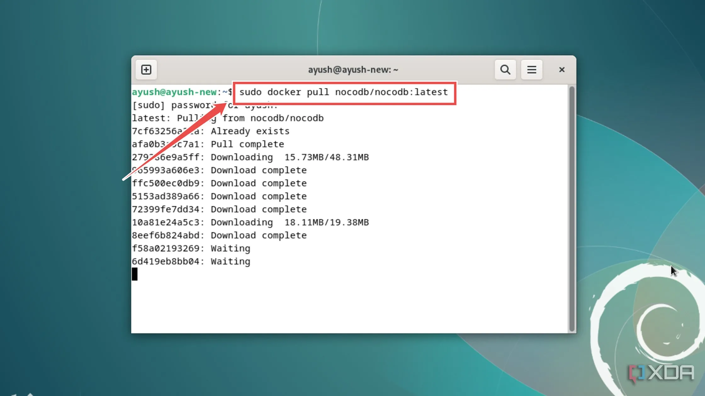 Tải image NocoDB từ Docker Hub bằng lệnh docker pull